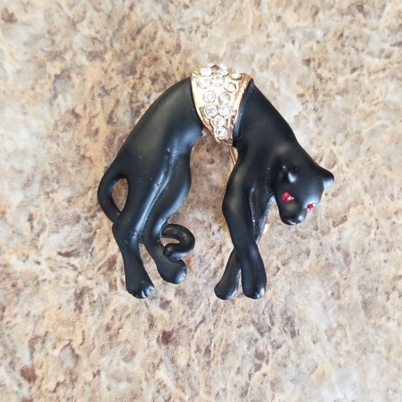 Jewelry - HP!Black Cat pin w/red eyes & crystal rhinestones